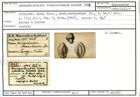 Karteikarte zum Syntyp von Quinqueloculina transilvaniae Karrer, 1865